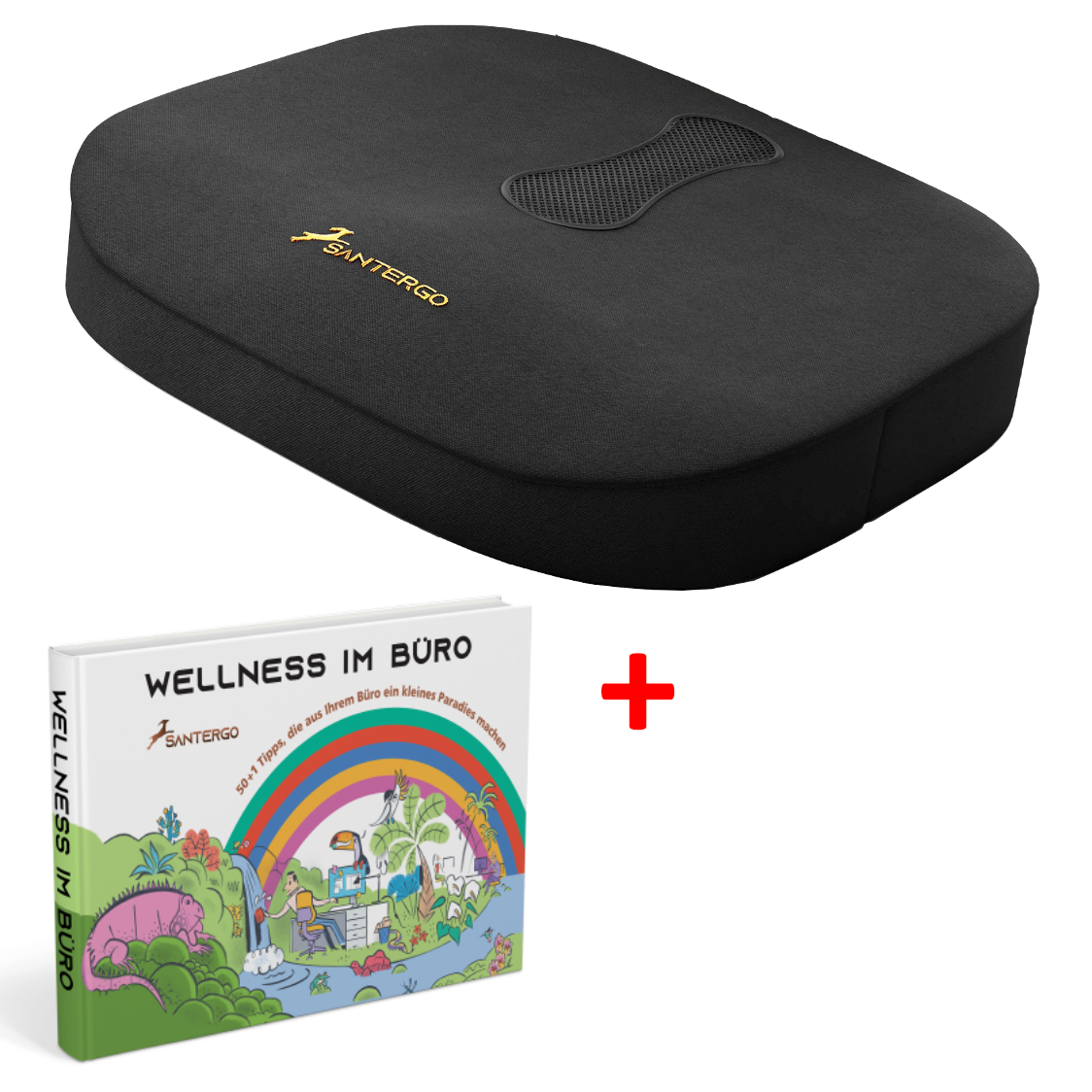 ALL IN: SANTERGO orthopädisches Sitzkissen (eine Farbe nach Wahl) + Buch