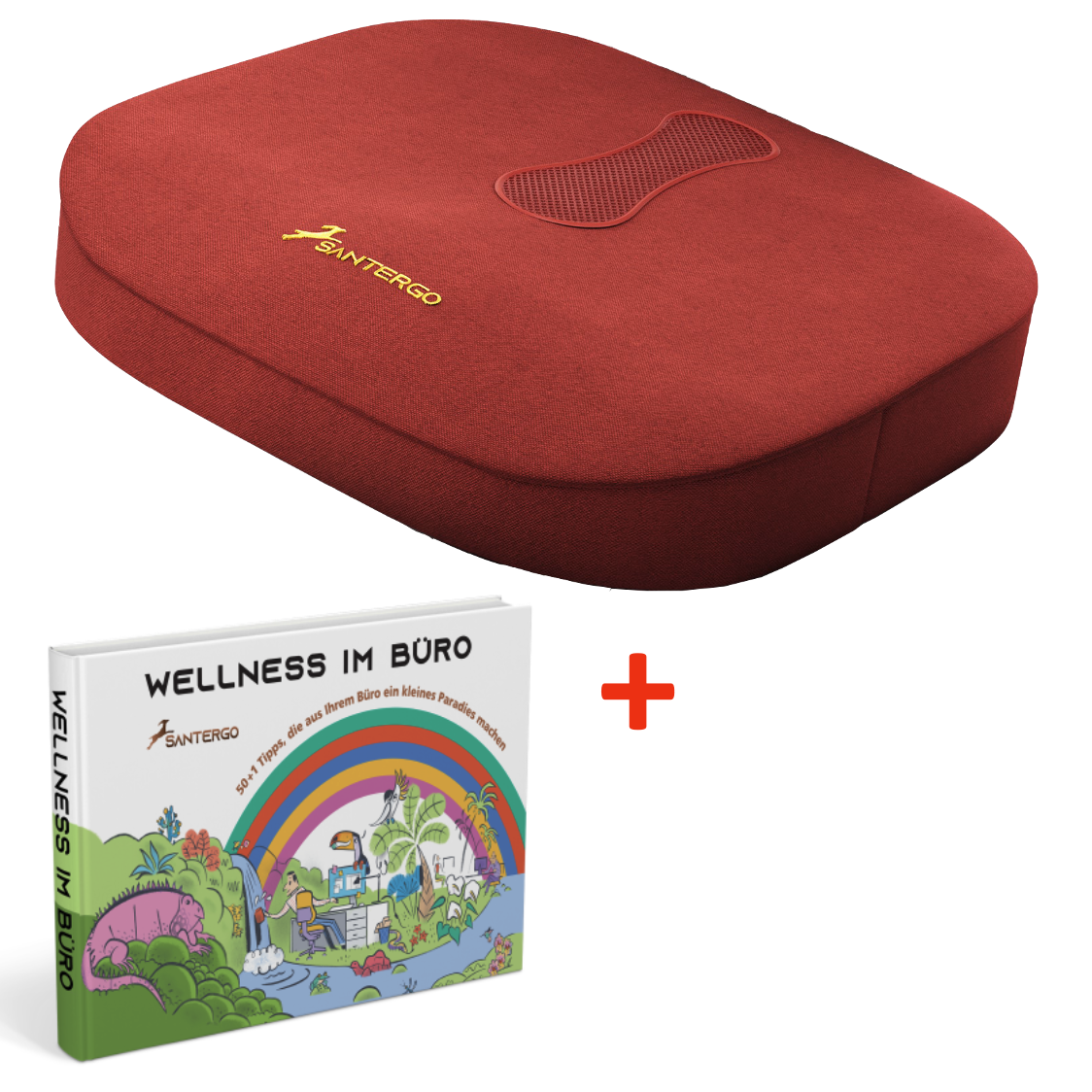 ALL IN: SANTERGO orthopädisches Sitzkissen (eine Farbe nach Wahl) + Buch