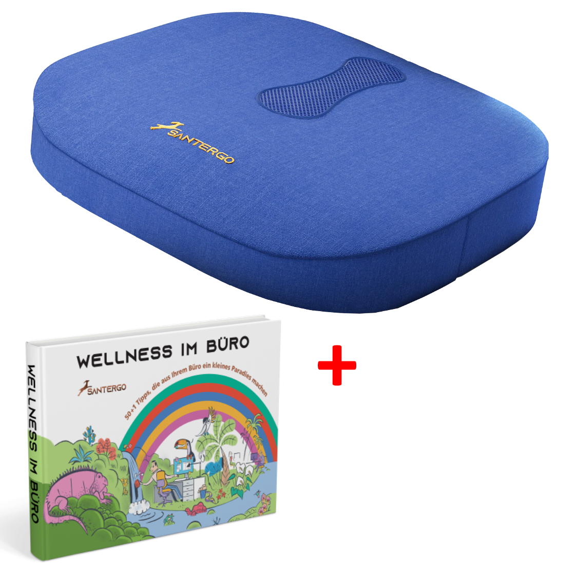 ALL IN: SANTERGO orthopädisches Sitzkissen (eine Farbe nach Wahl) + Buch