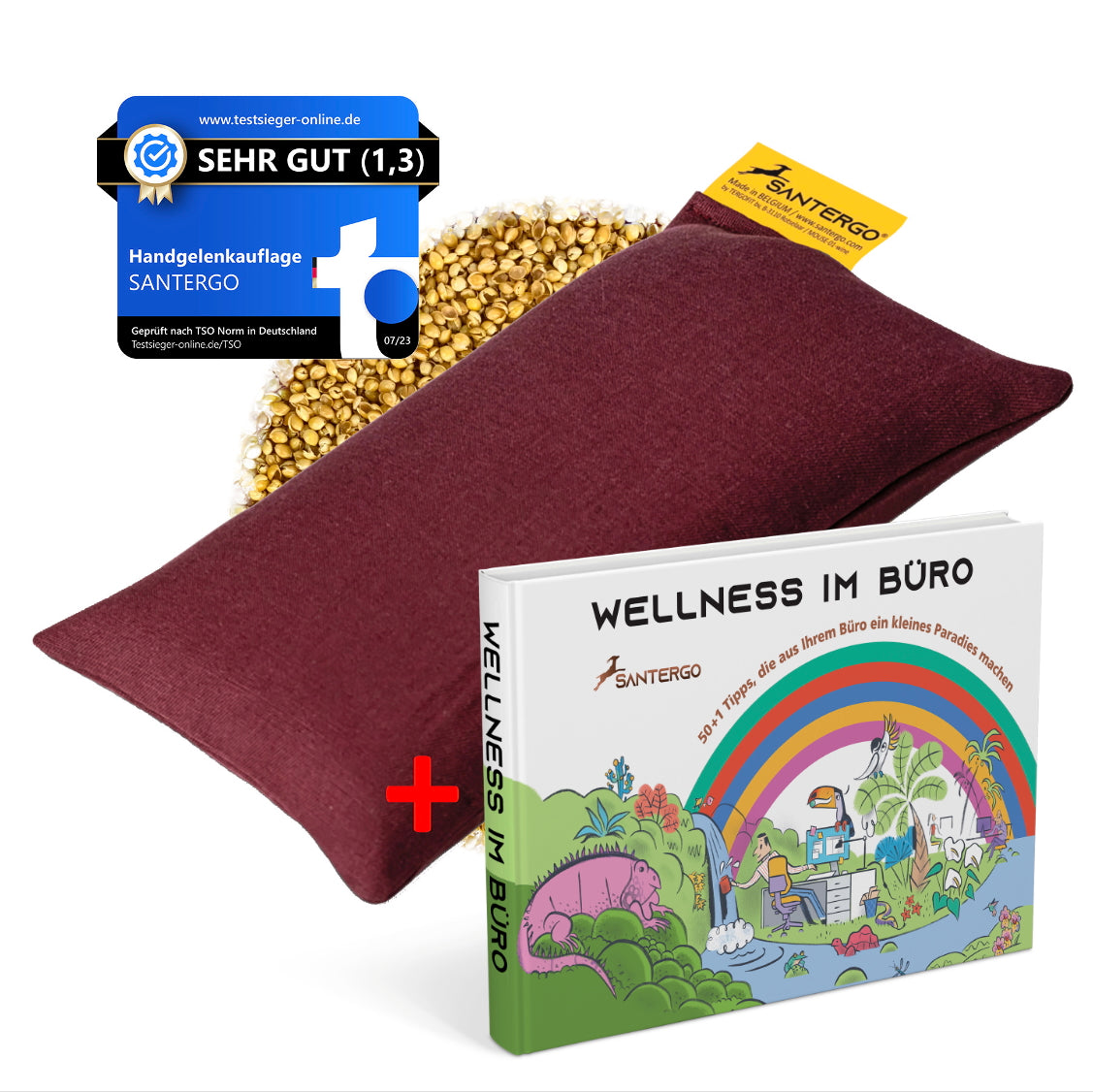 ALL IN: SANTERGO Mauspad (eine Farbe nach Wahl) + Buch